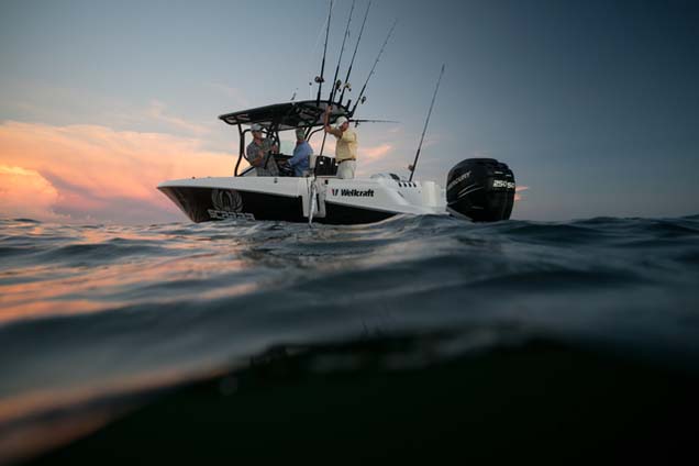Wellcraft 262 Fisherman